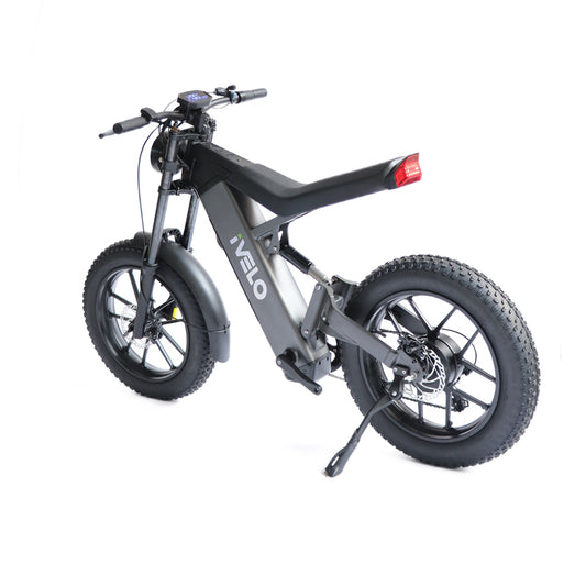 20inch New Design iVelo M20F Electric Bike Dual Disc Brake with Swappable Battery
